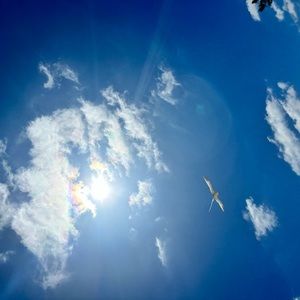 Meet your Posher, Mcneil